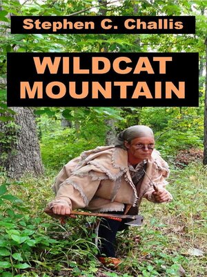 cover image of Wildcat Mountain